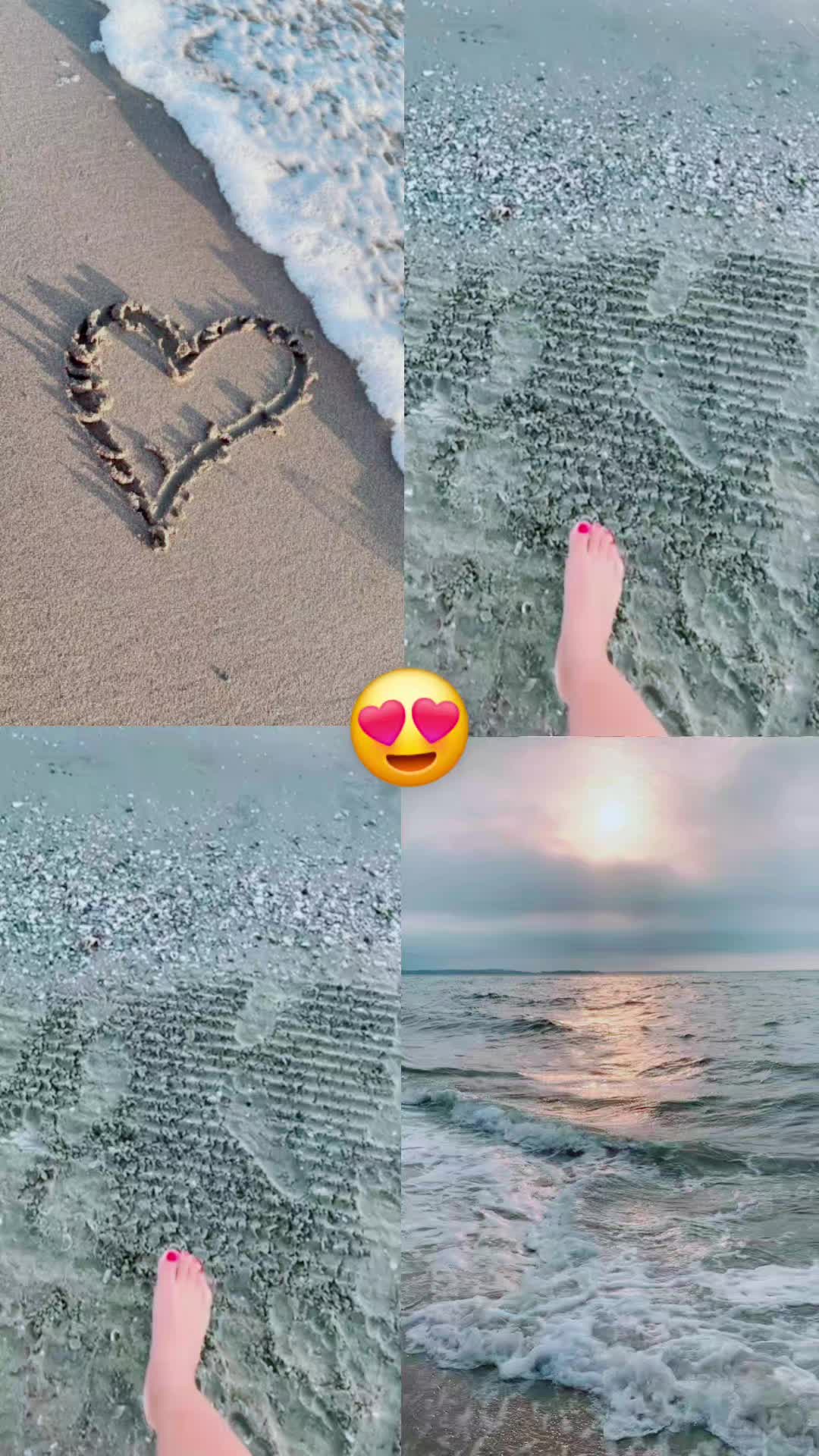 @oranparis3193