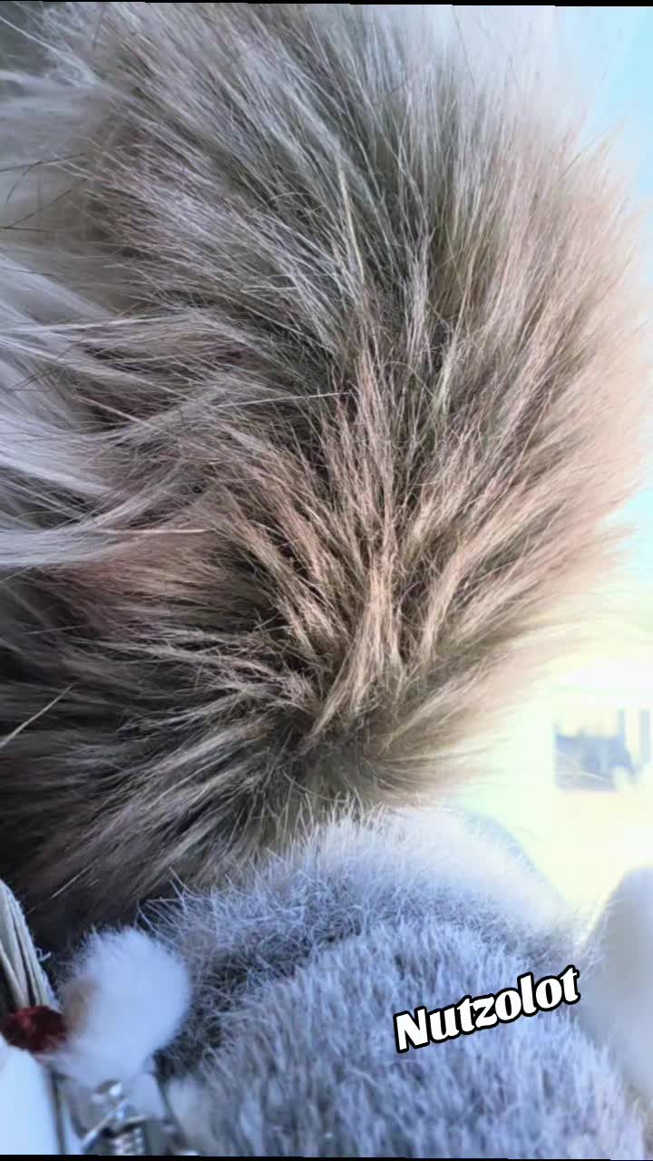 @nutzo_lot