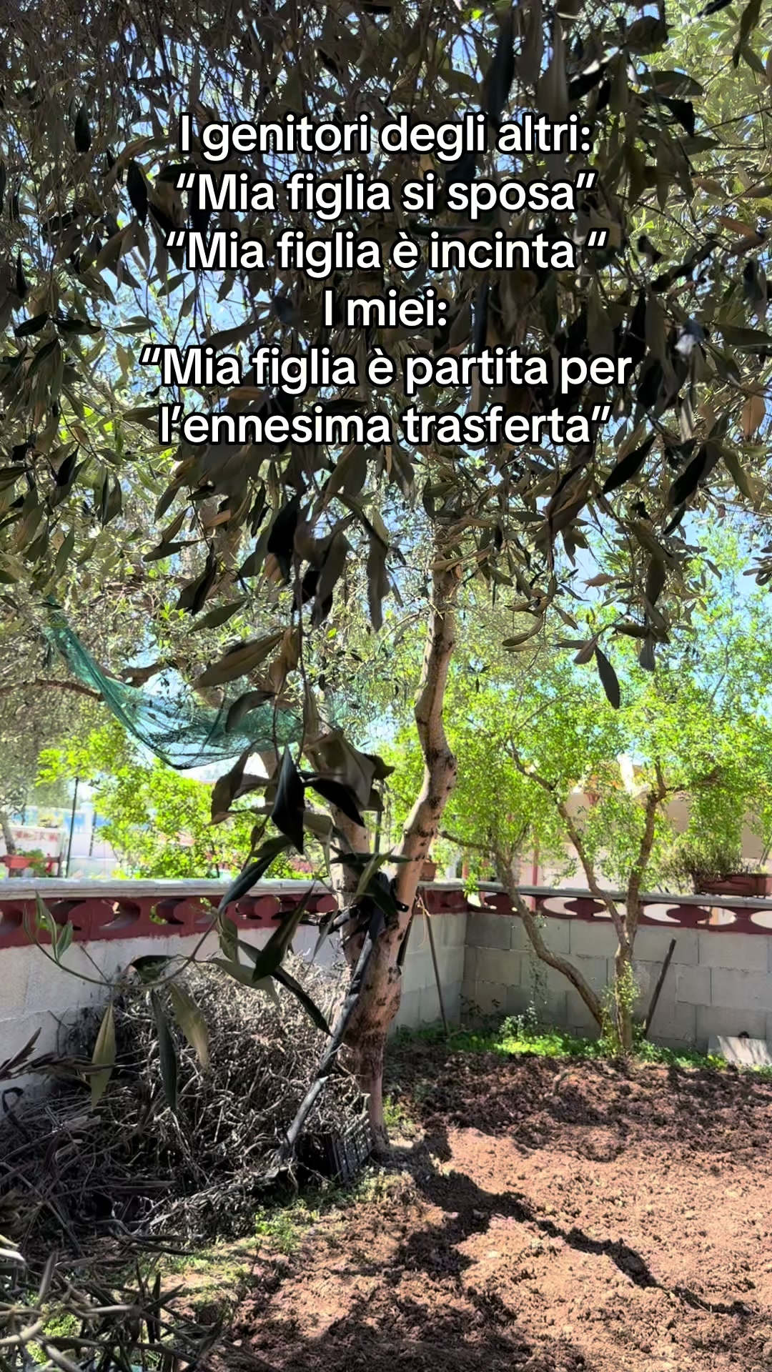 @Quelladellasapienza89