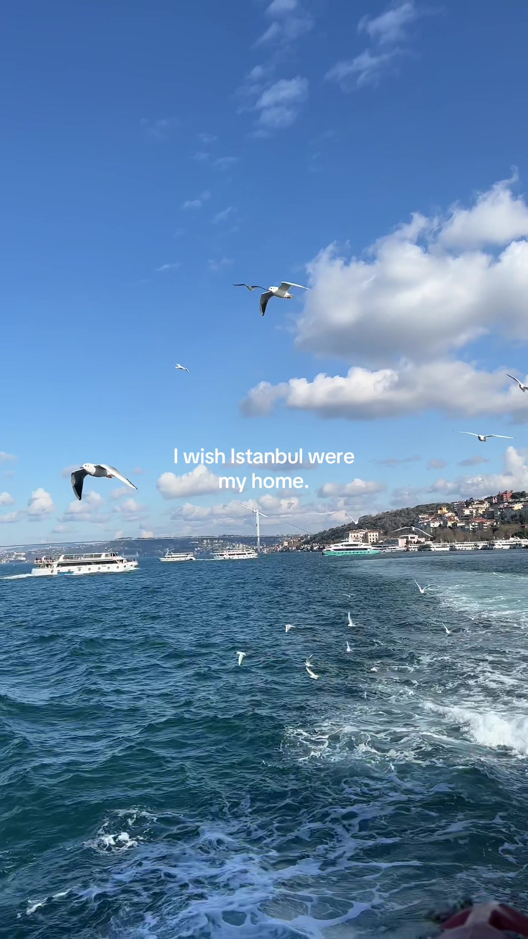 @sinem