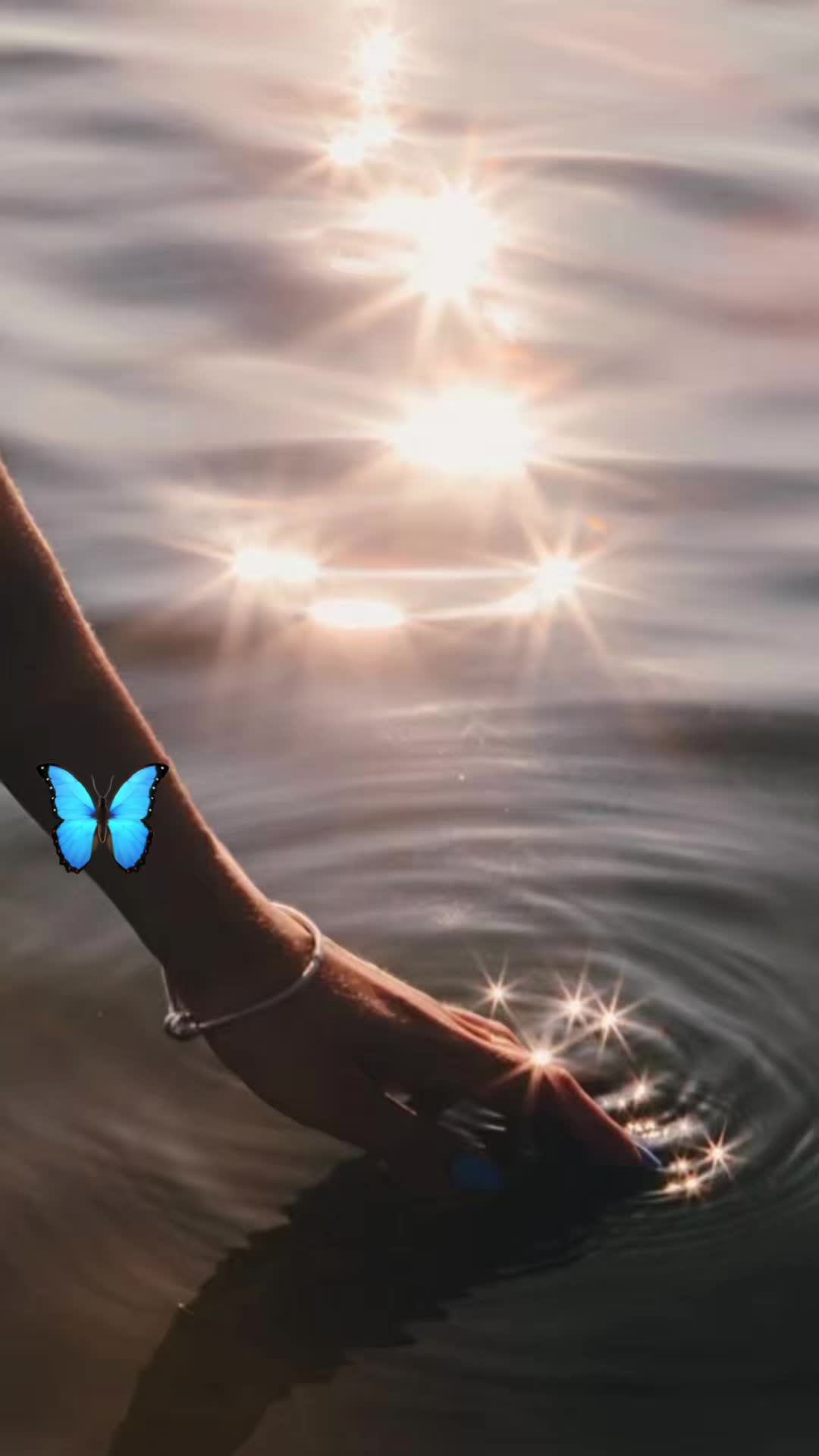 @borboleta2867