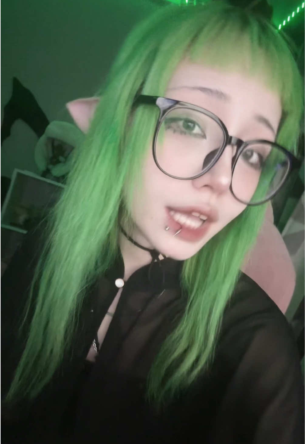 @soradaimao