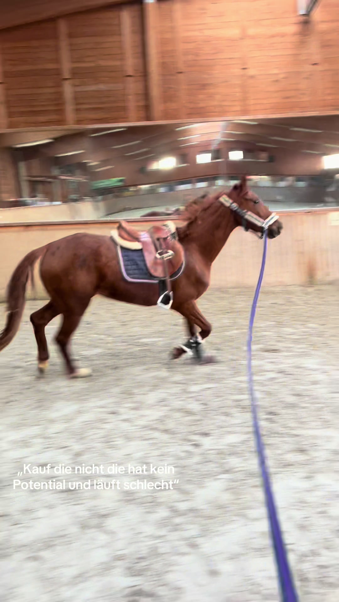 @diaryofequestrian