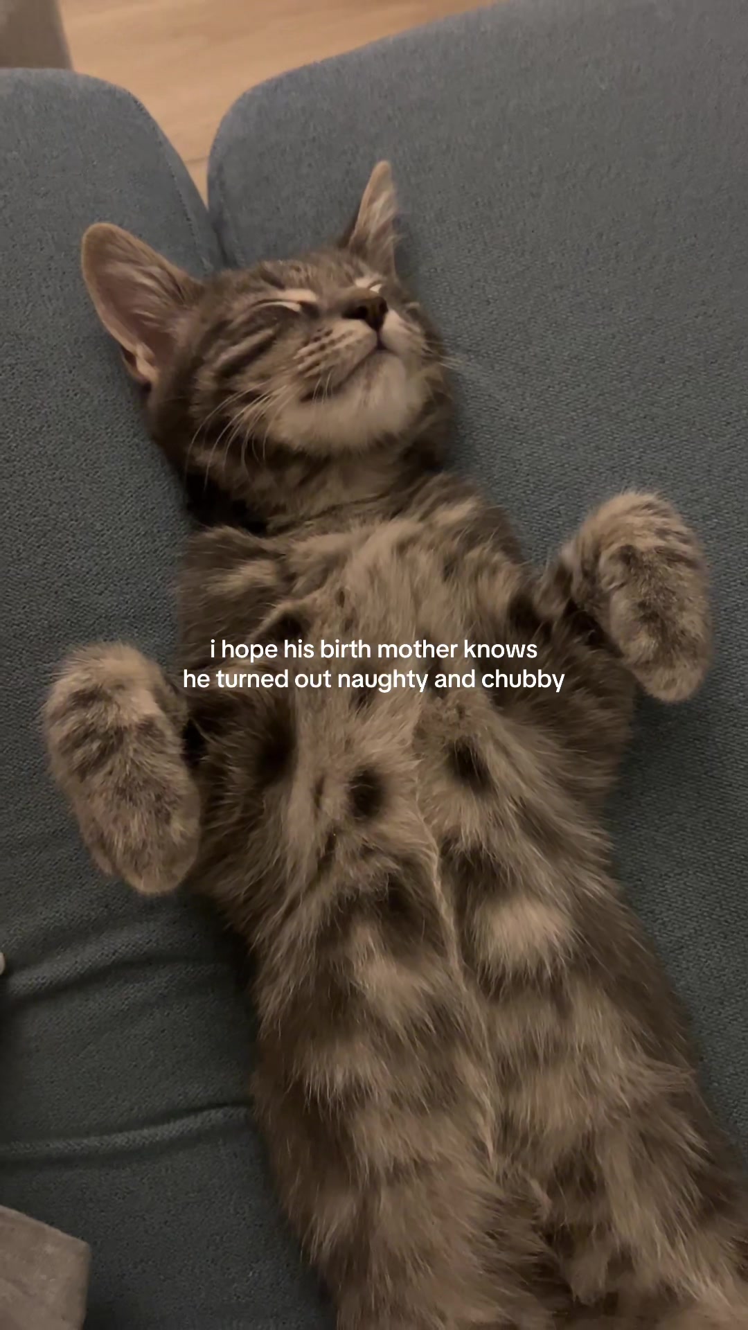 @lilcatloki