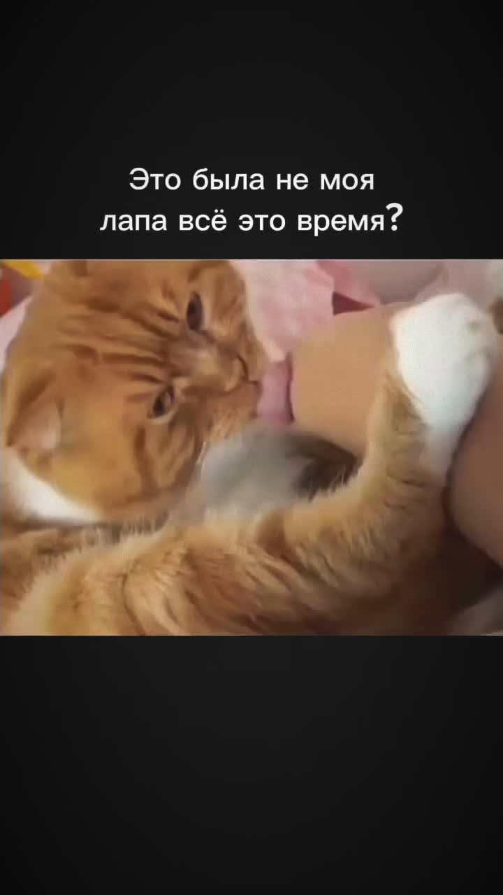 @Лариса