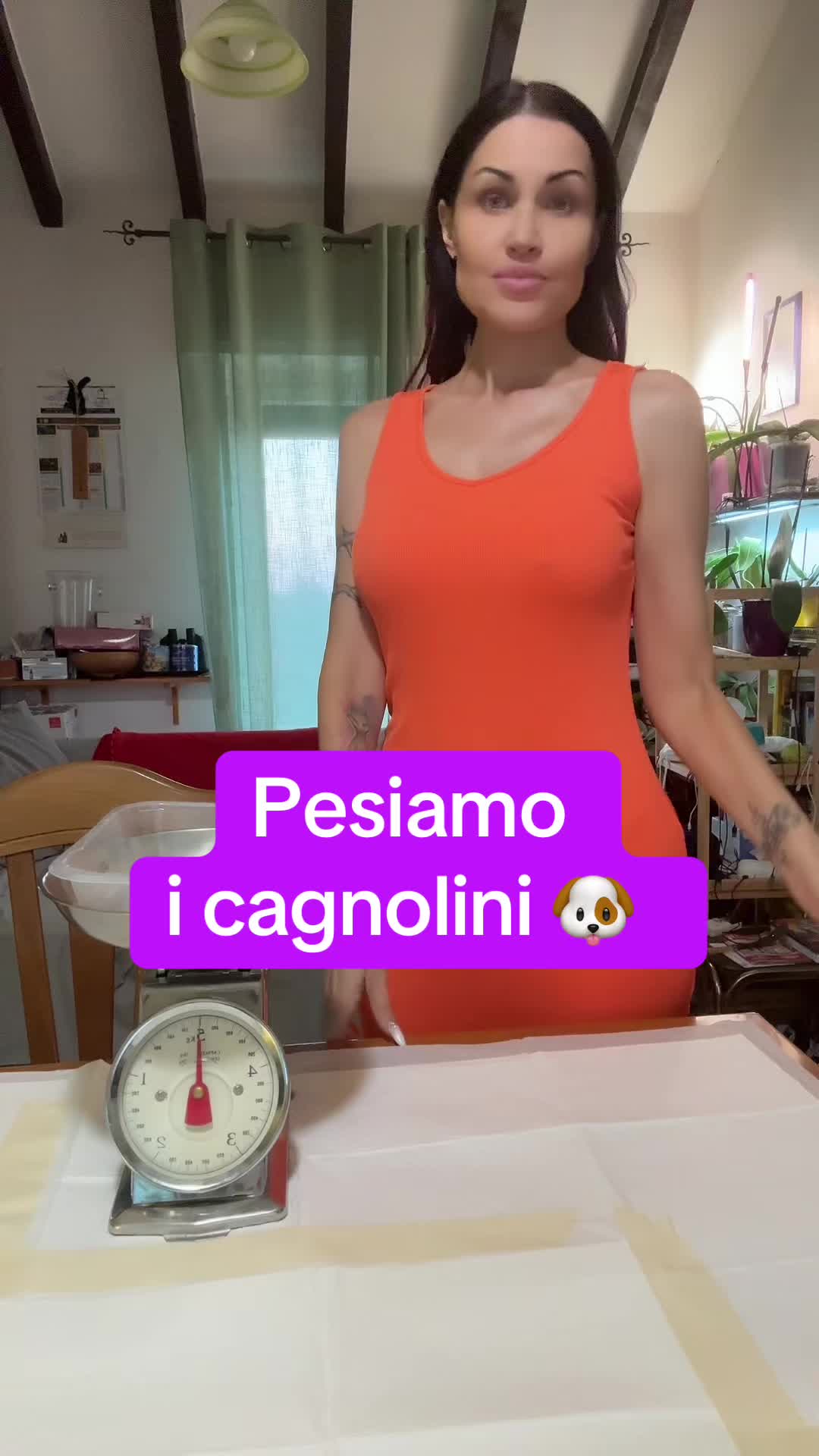 @Alisha Griffanti