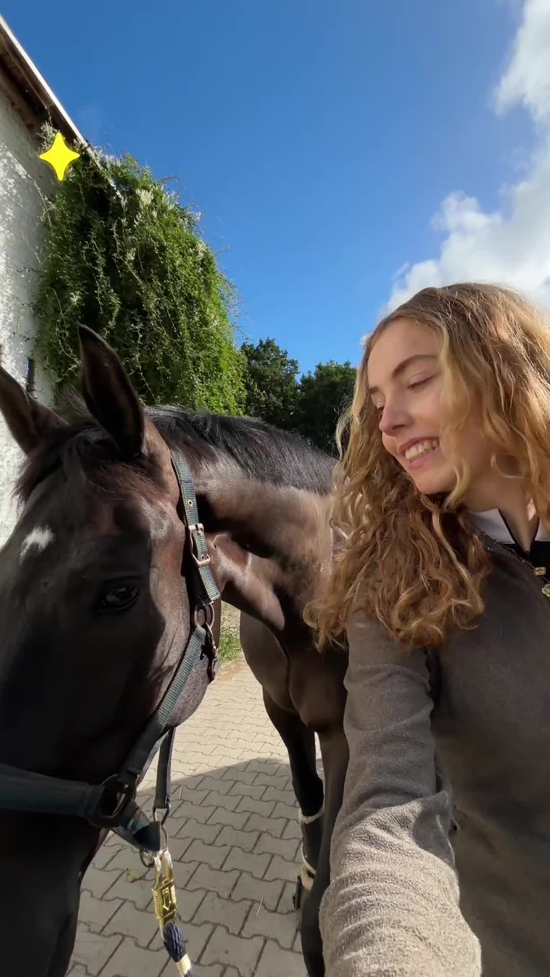 @evis.pferdechaos