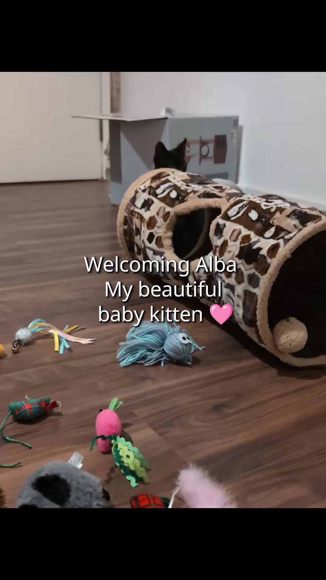 @Alba&Me