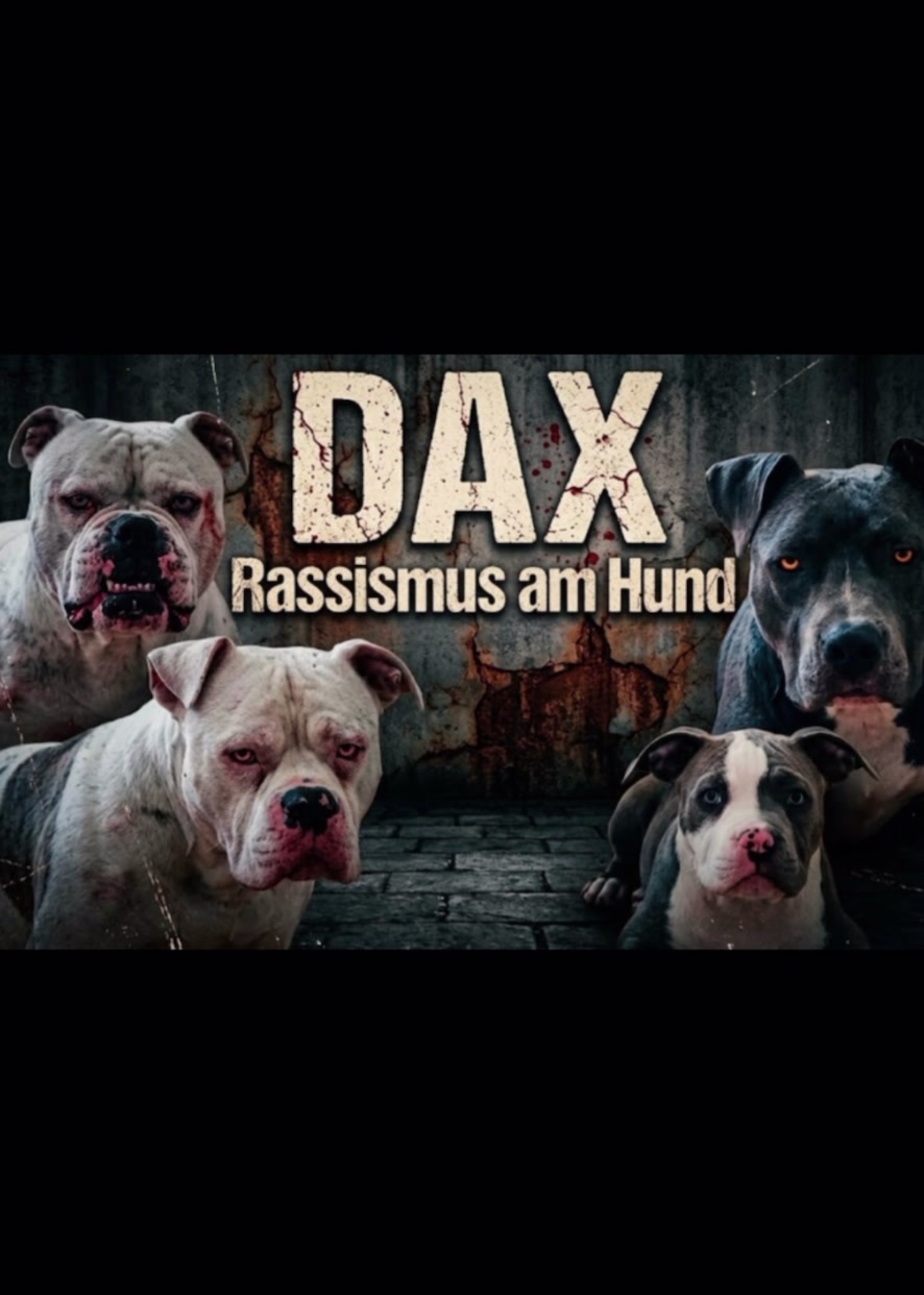 @daxter_the_bulldog