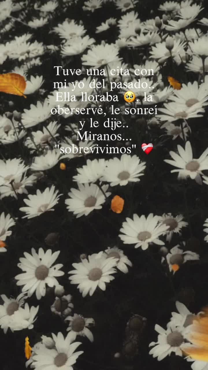@Liliana Merino