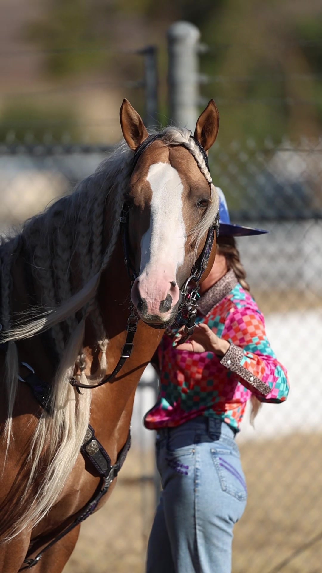 @Red Hot Running Horses