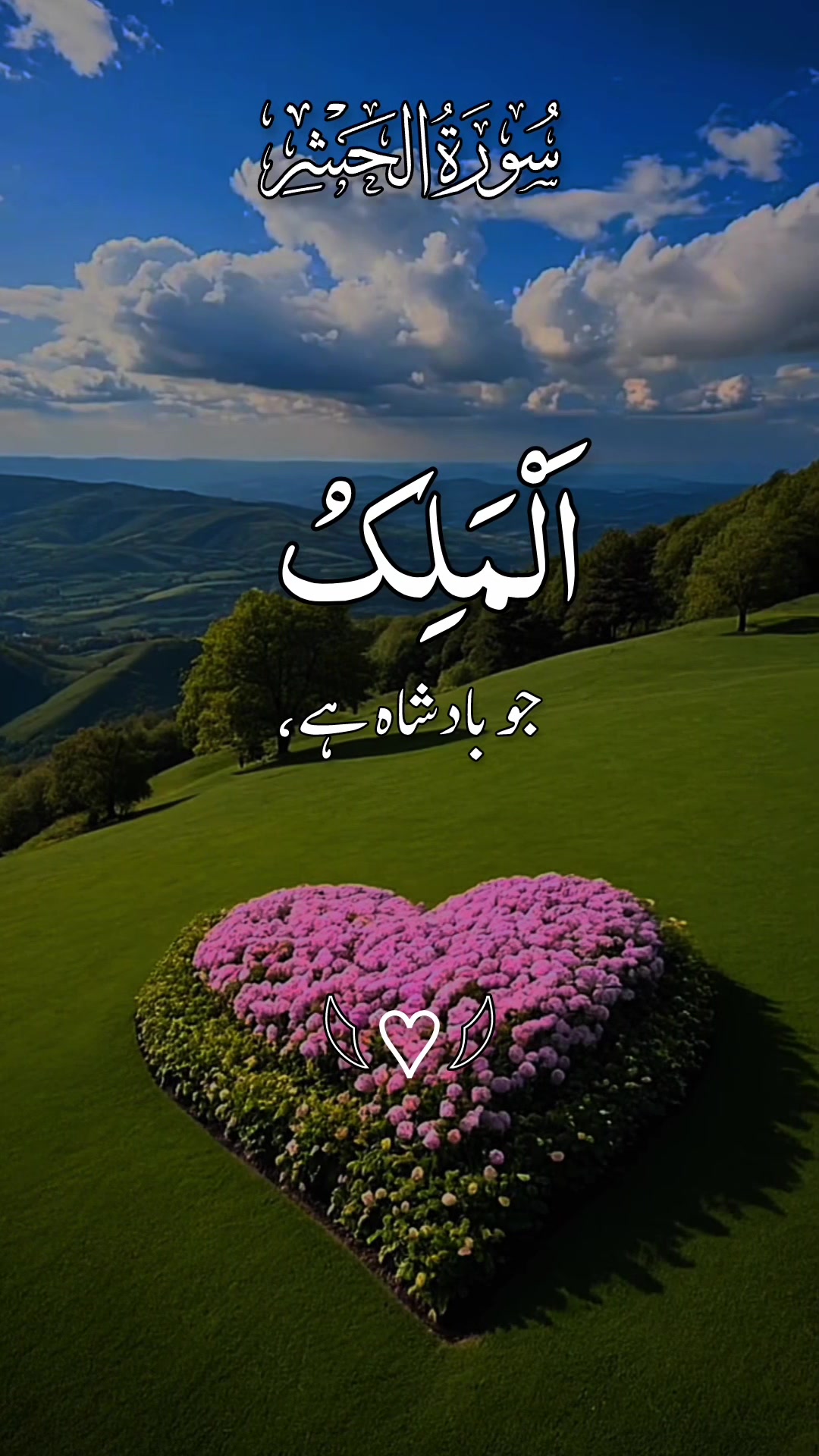 @❣️ Words of Allah ❣️