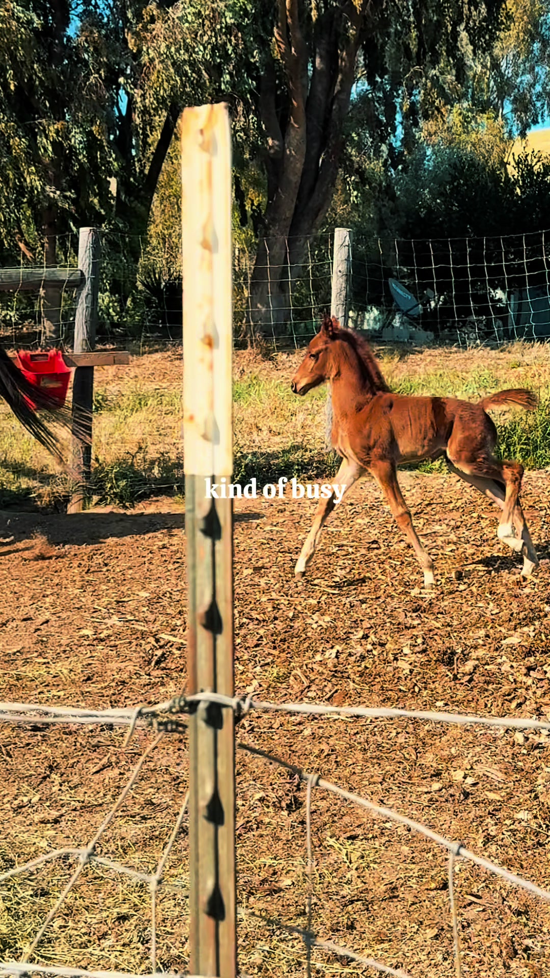 @BoeRanch14