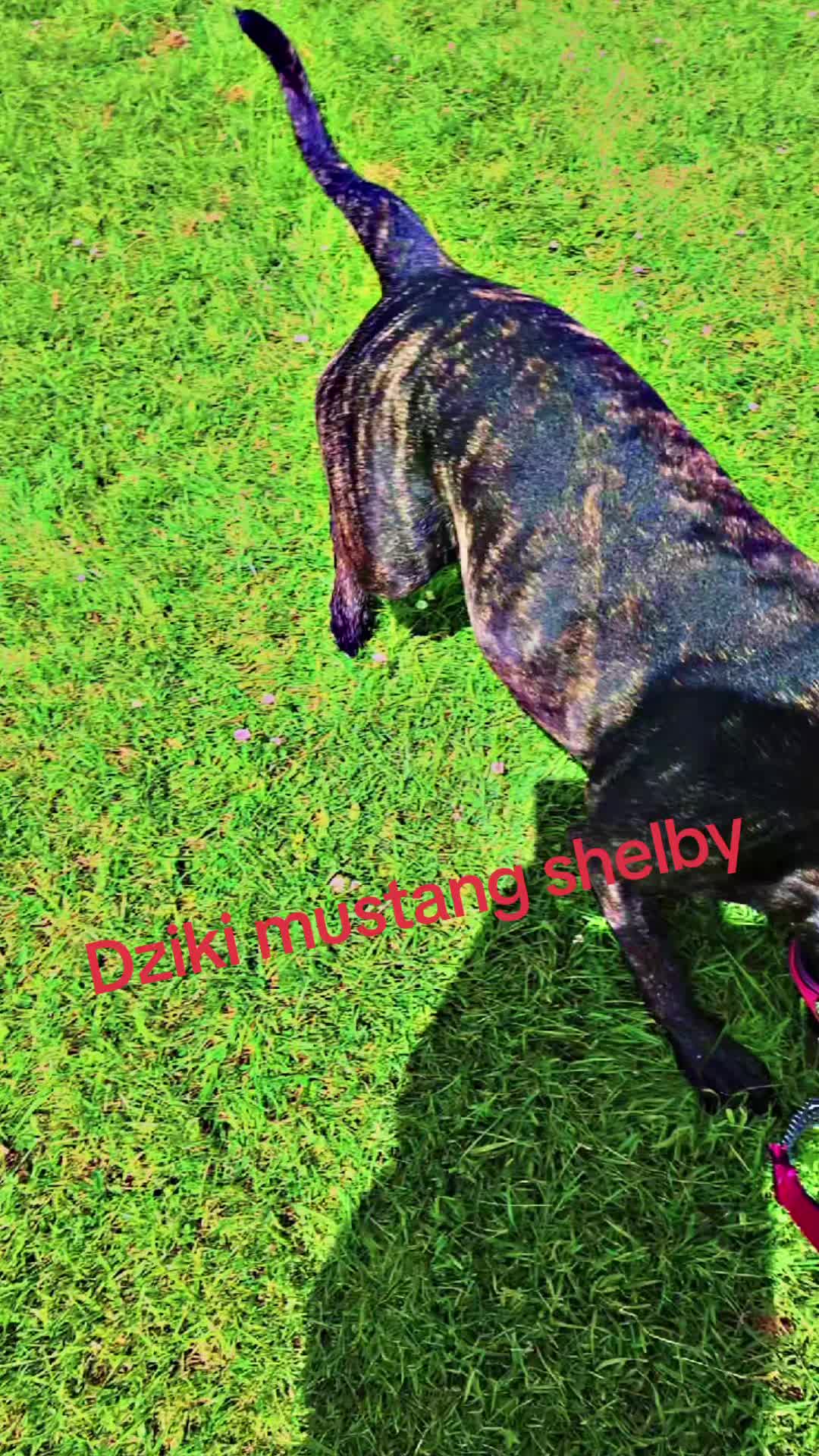 @Mała🫧