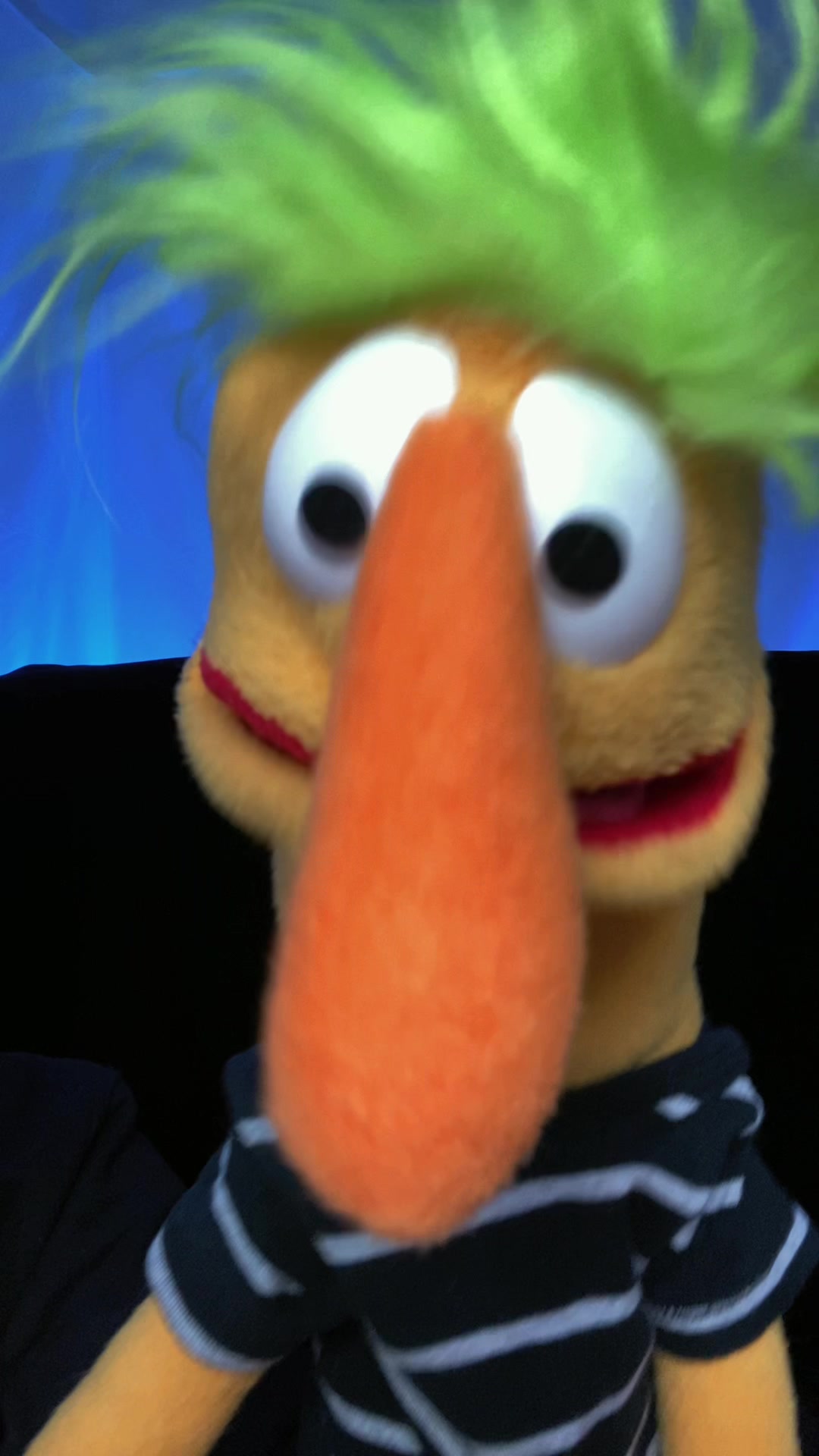 @Goodman&rsquo;s Wacky Puppets