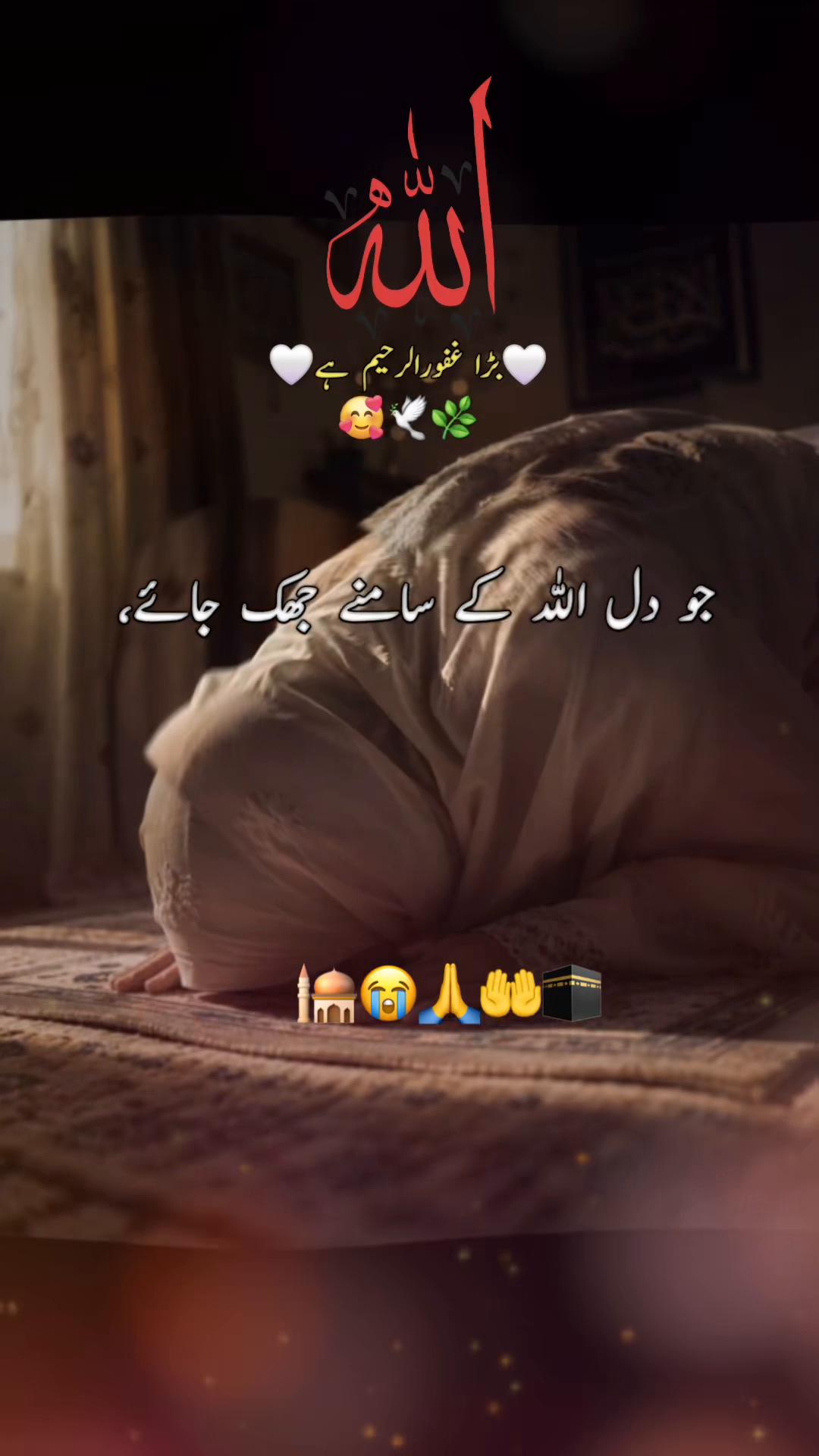@noor