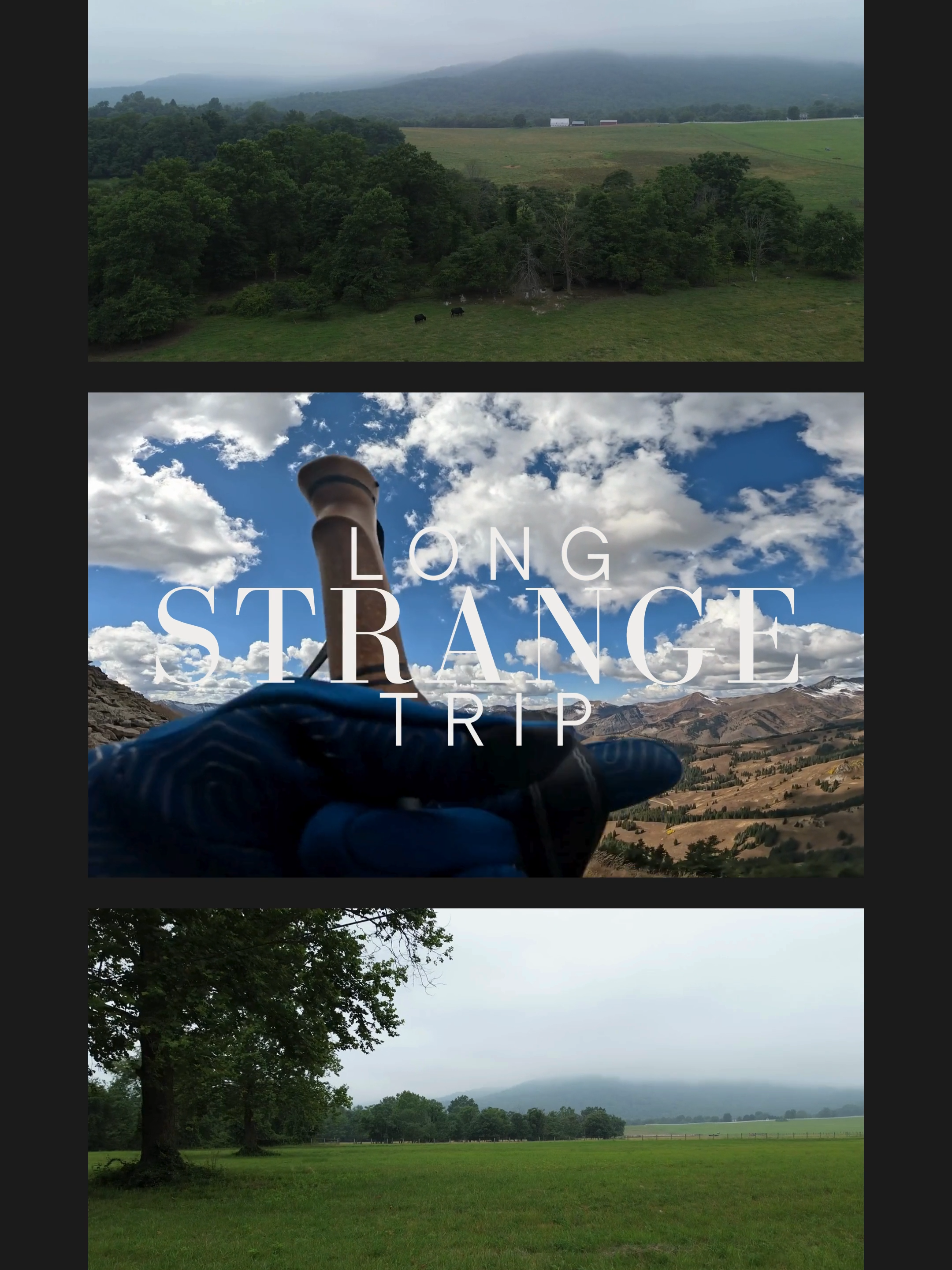 @Long Strange Trip