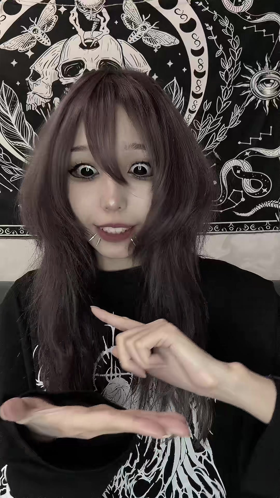 @shizuka
