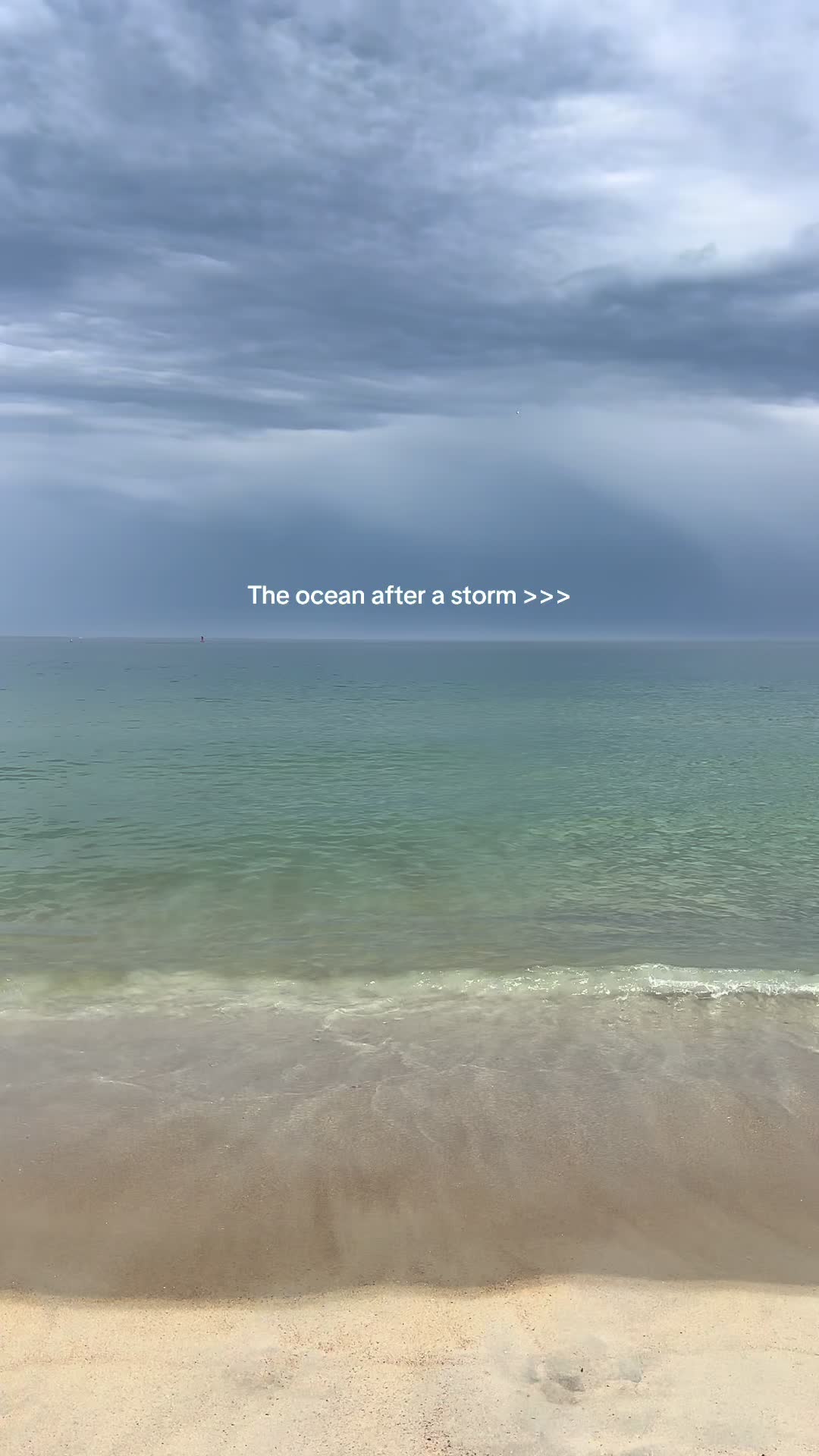 @Jen 🌻🌙🌊