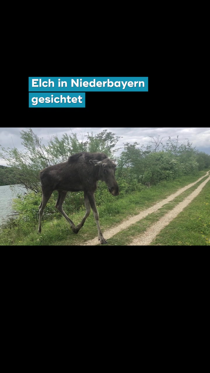 @17:30 SAT.1 Bayern