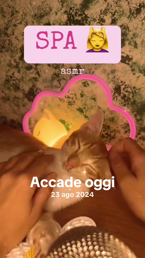 @Mirella ASMR