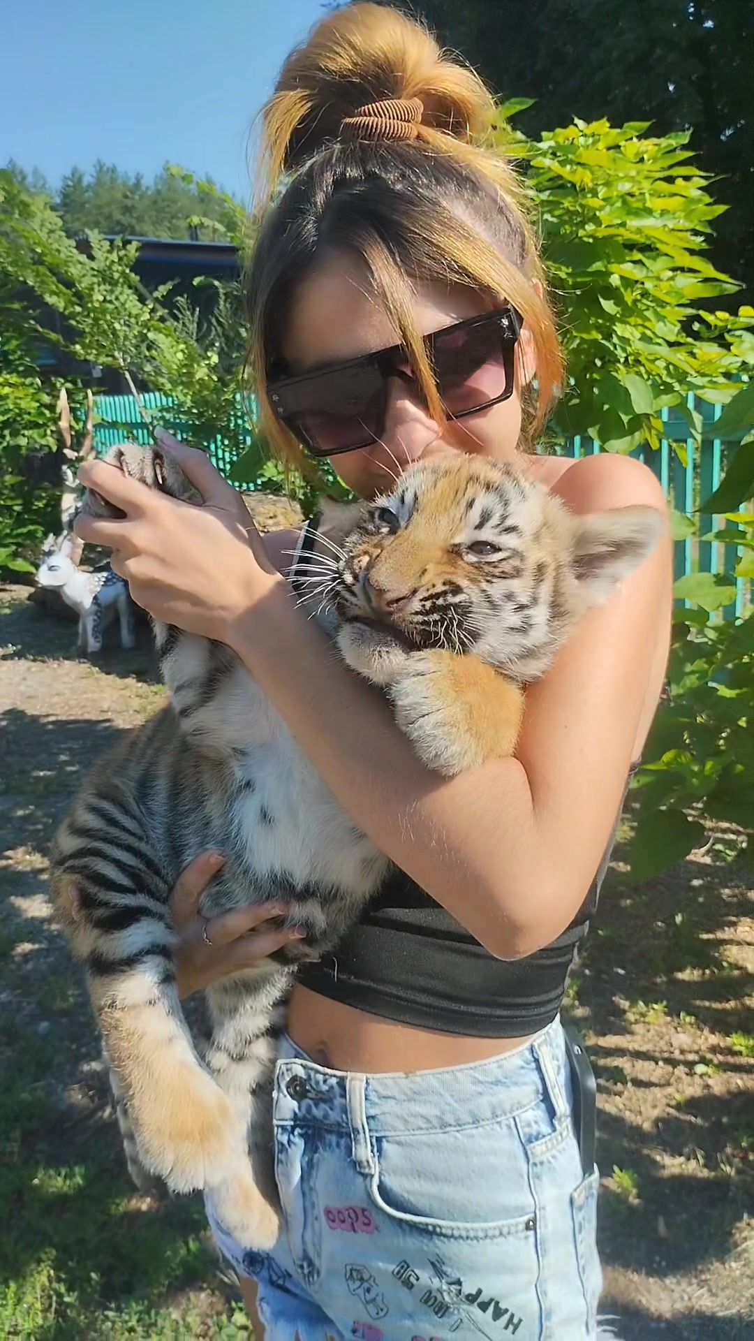 @Elena_sashkina