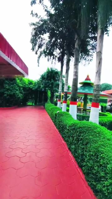 @✨তাওহিদের আম্মু✨