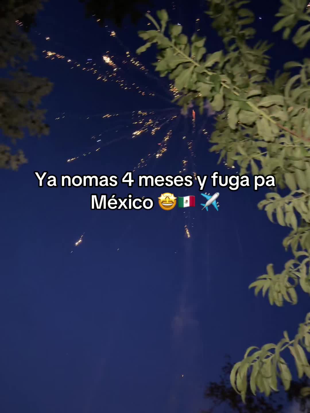 @Nancy Franco ✨