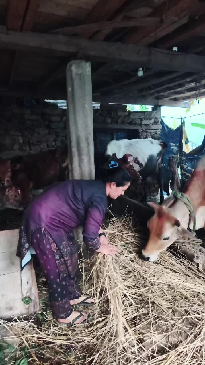 @Srijana sapkota