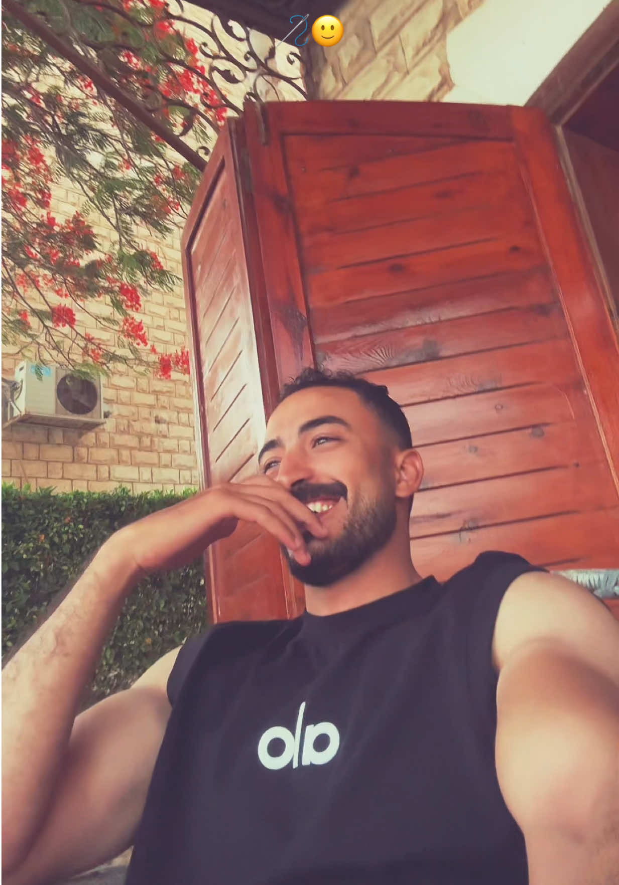 @A Eltoukhy
