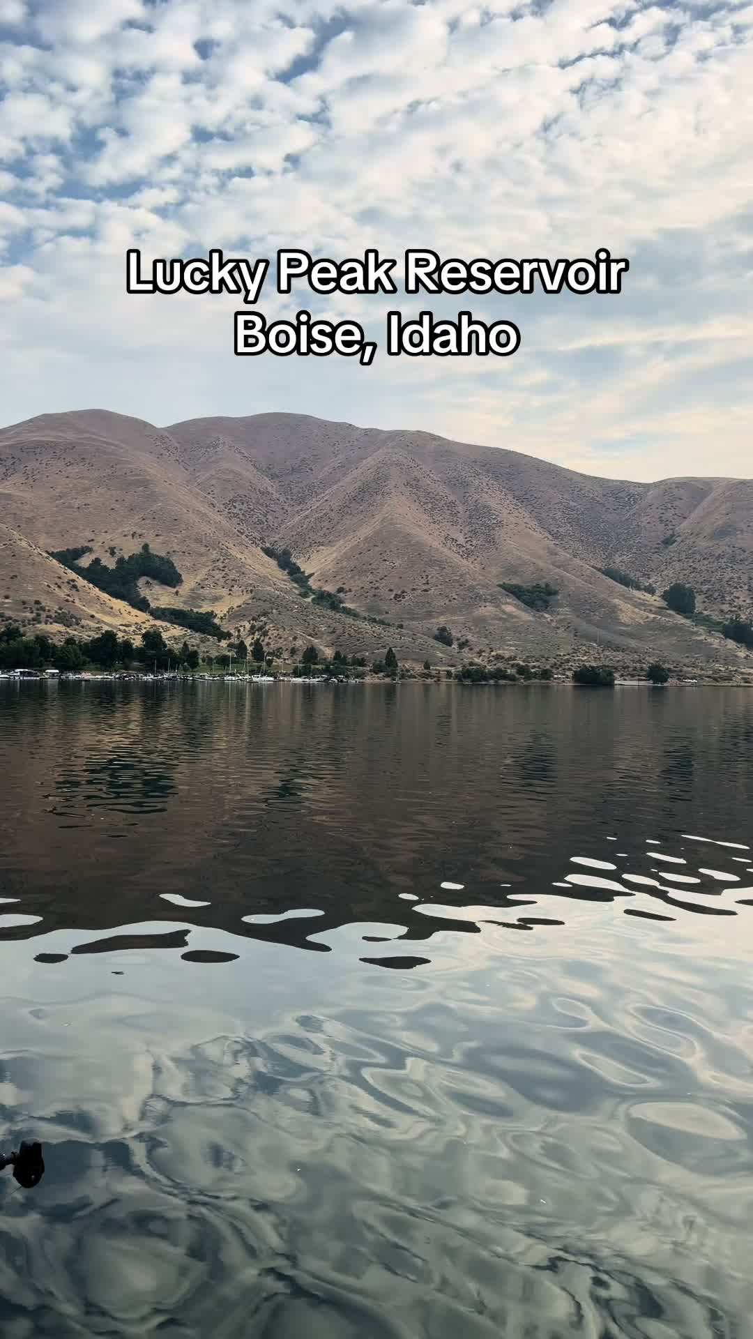 @Paige| Idaho Realtor🏠