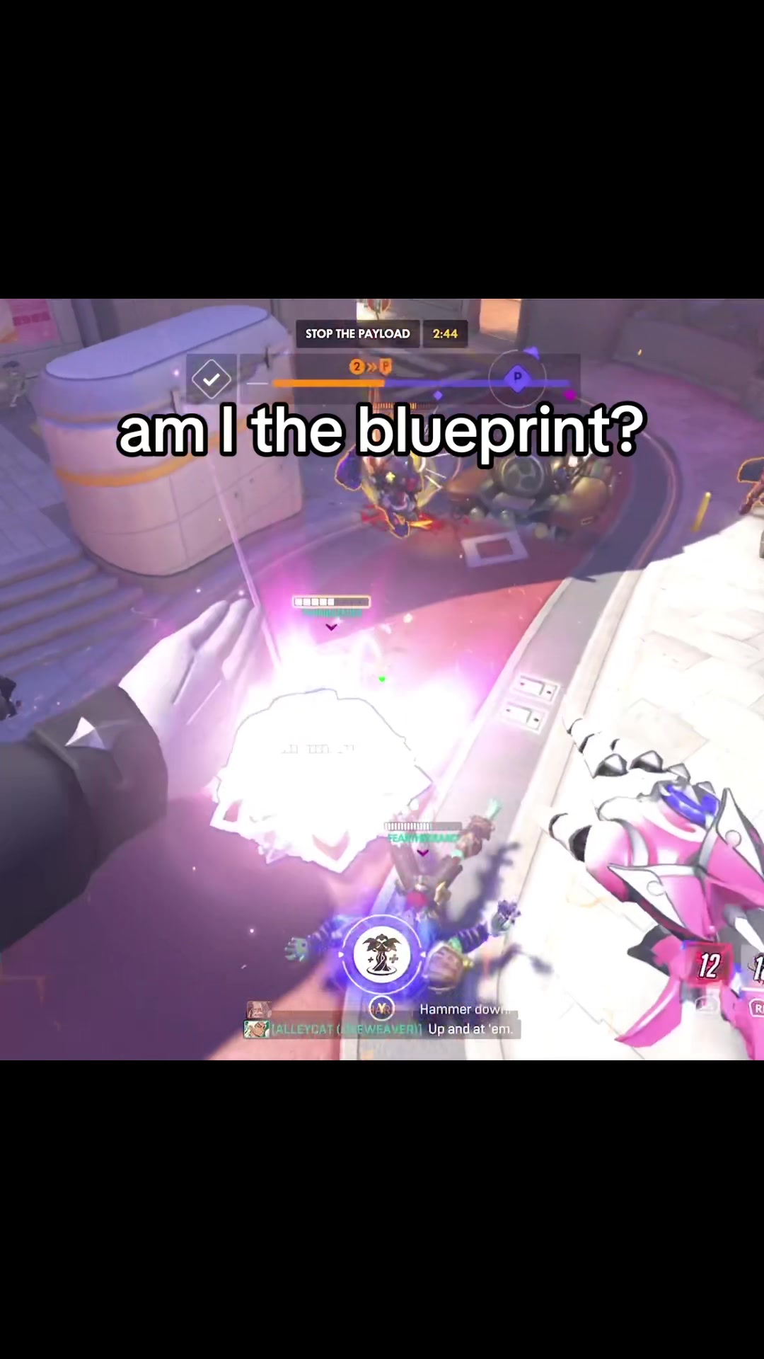 @AlleyCat_ow