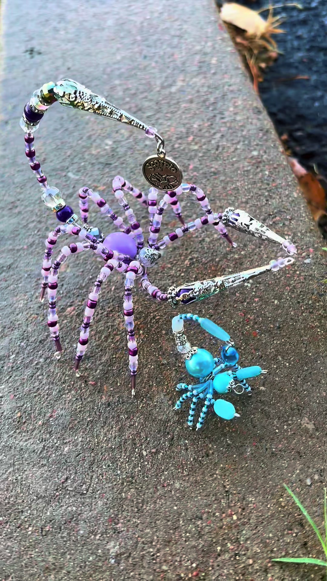 @spider_domain
