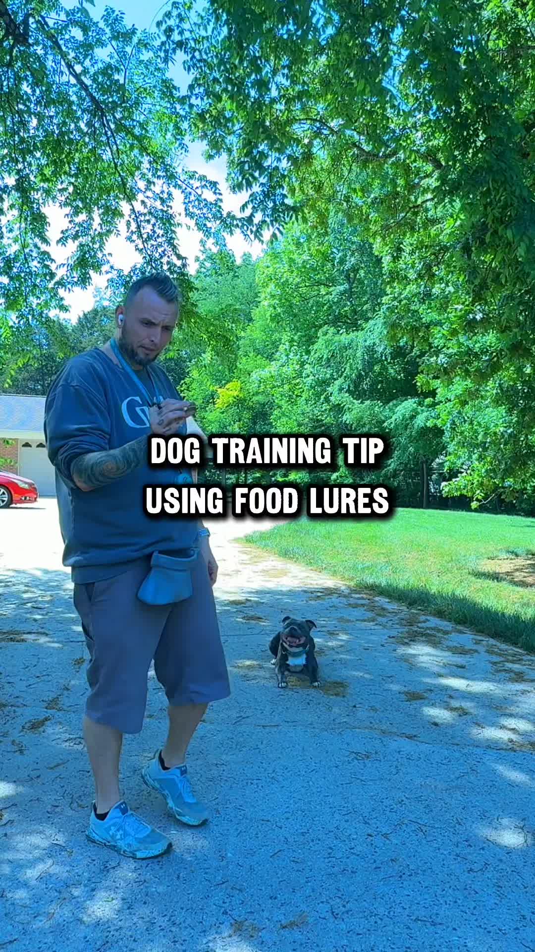 @Lost Boys K9 Academy