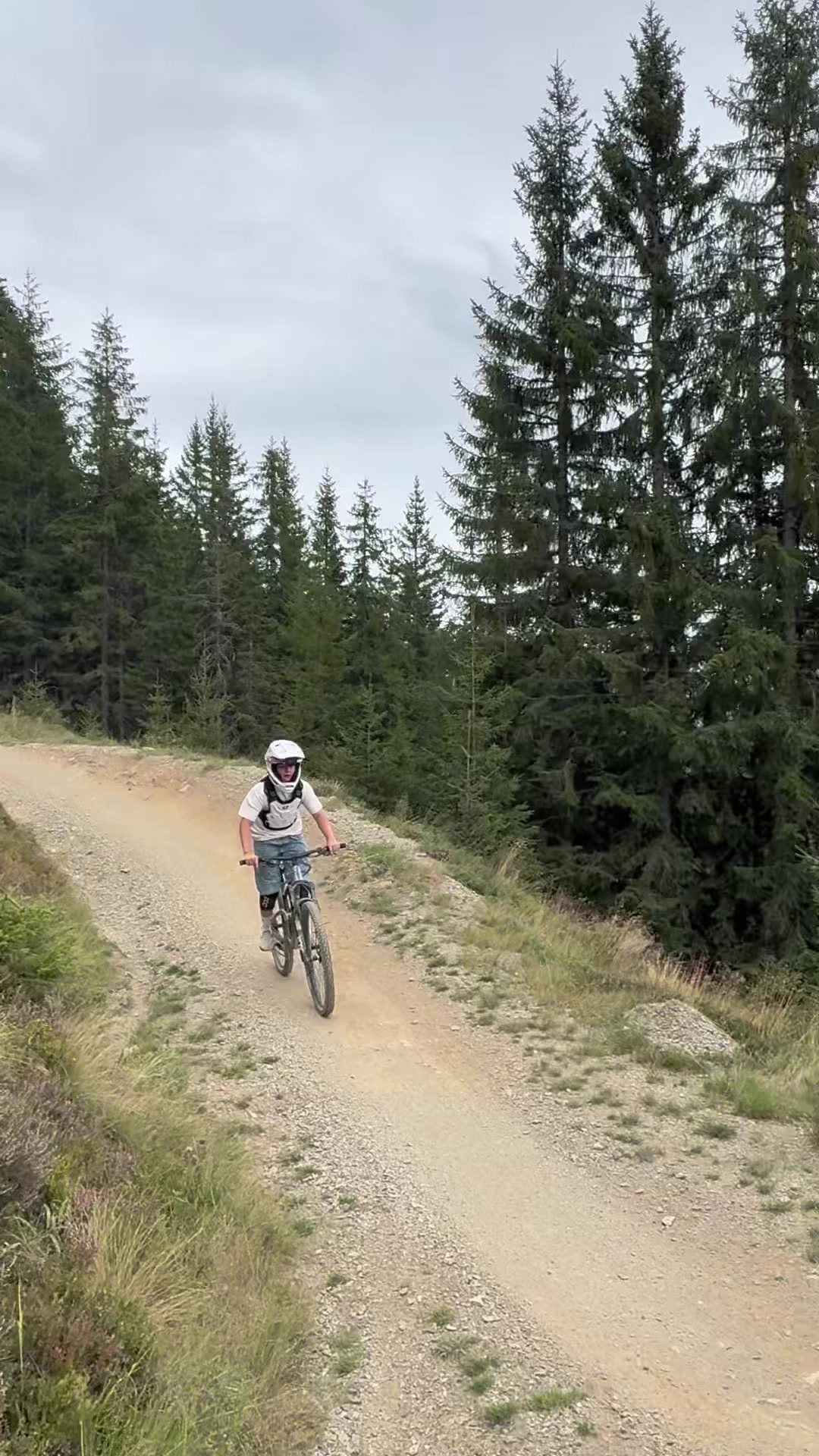 @Vitus.Freeride