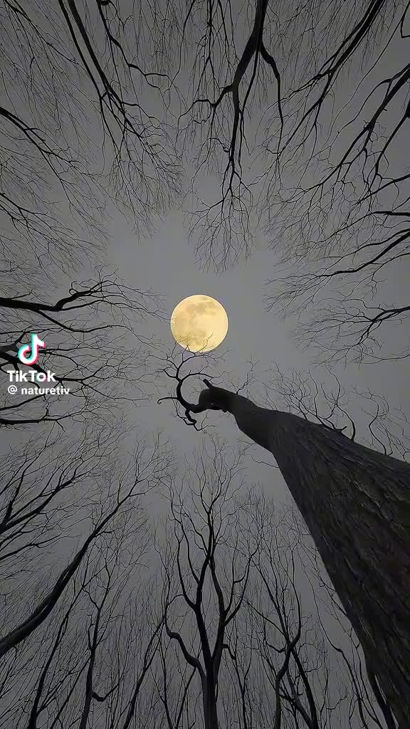 @ghostmaster