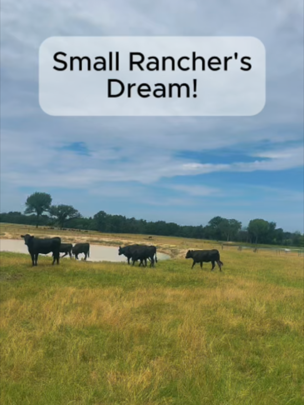 @Rutherford Land and Cattle