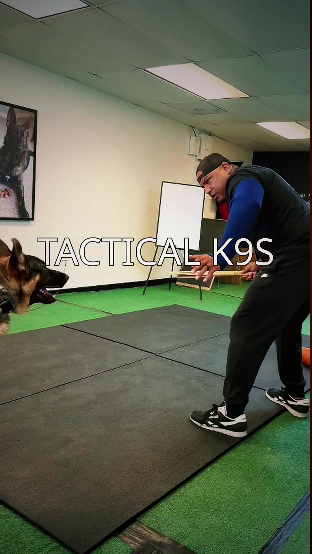 @Tactical K9s Dog Training