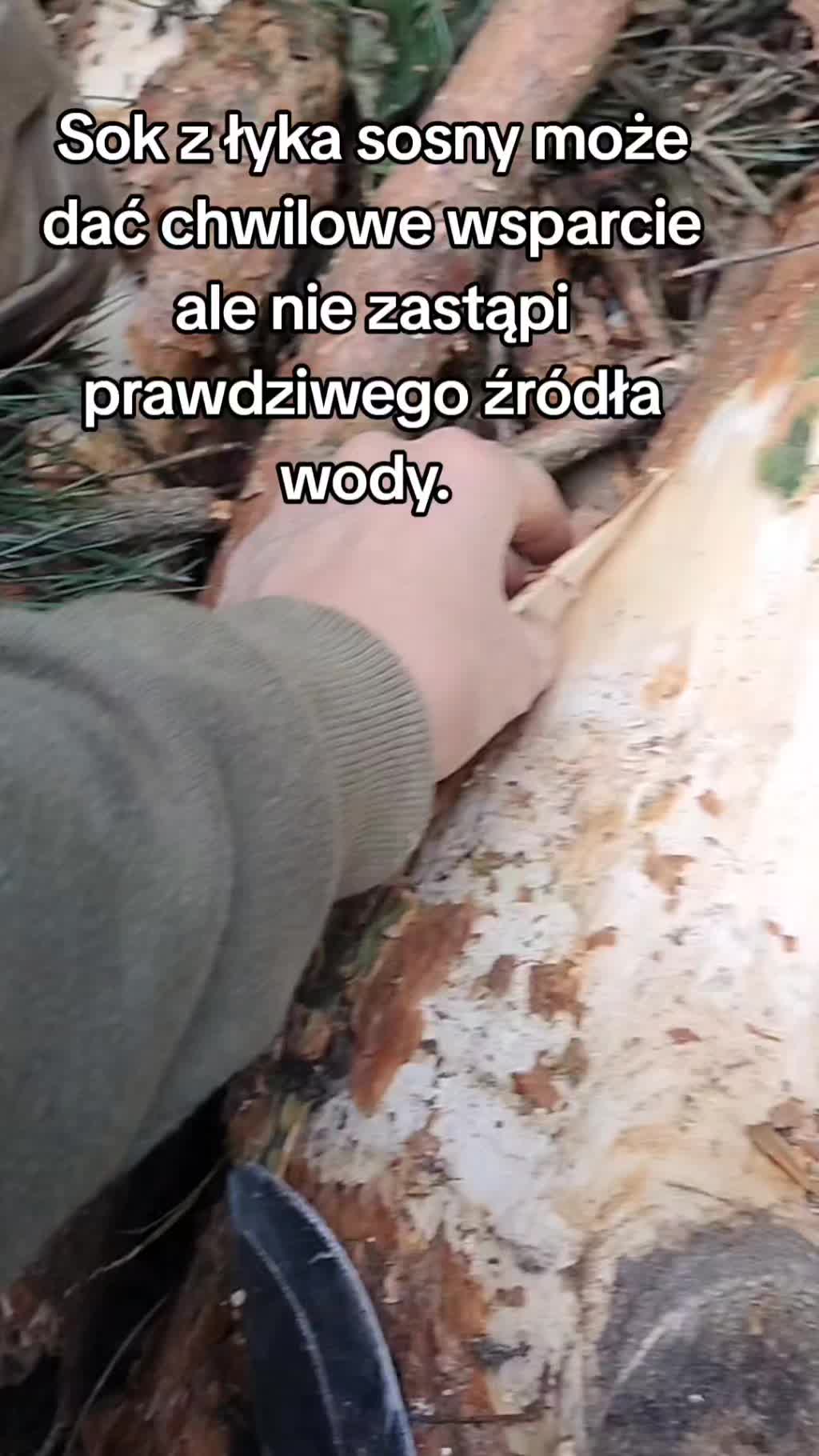 @Zielsko Szeptuchy