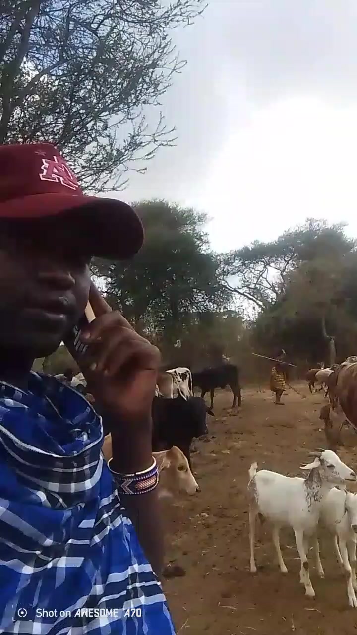@Tadei Siria