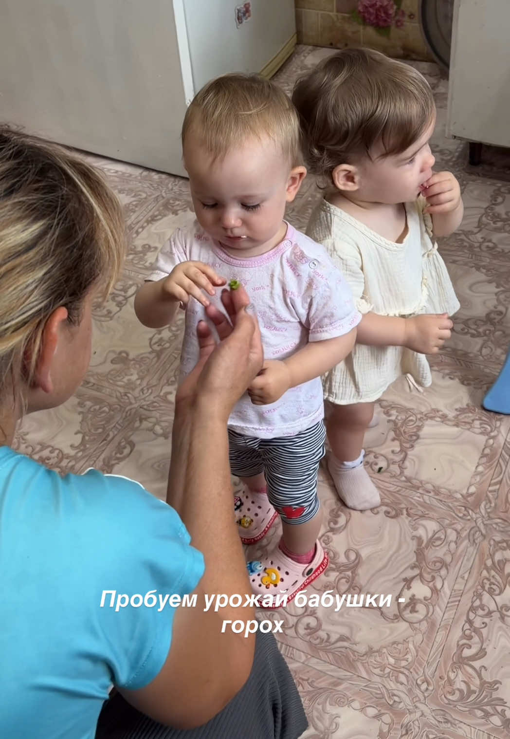 @Дом полон жизни