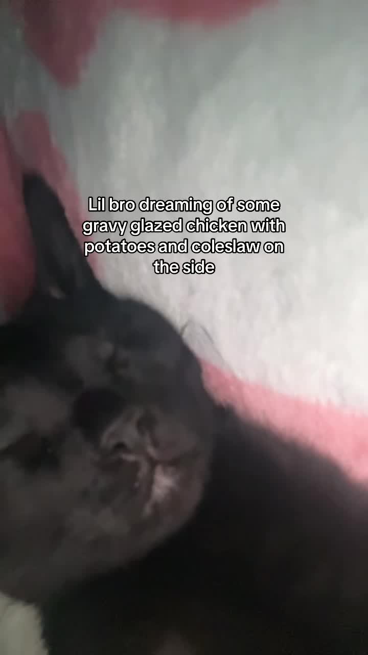 @rina