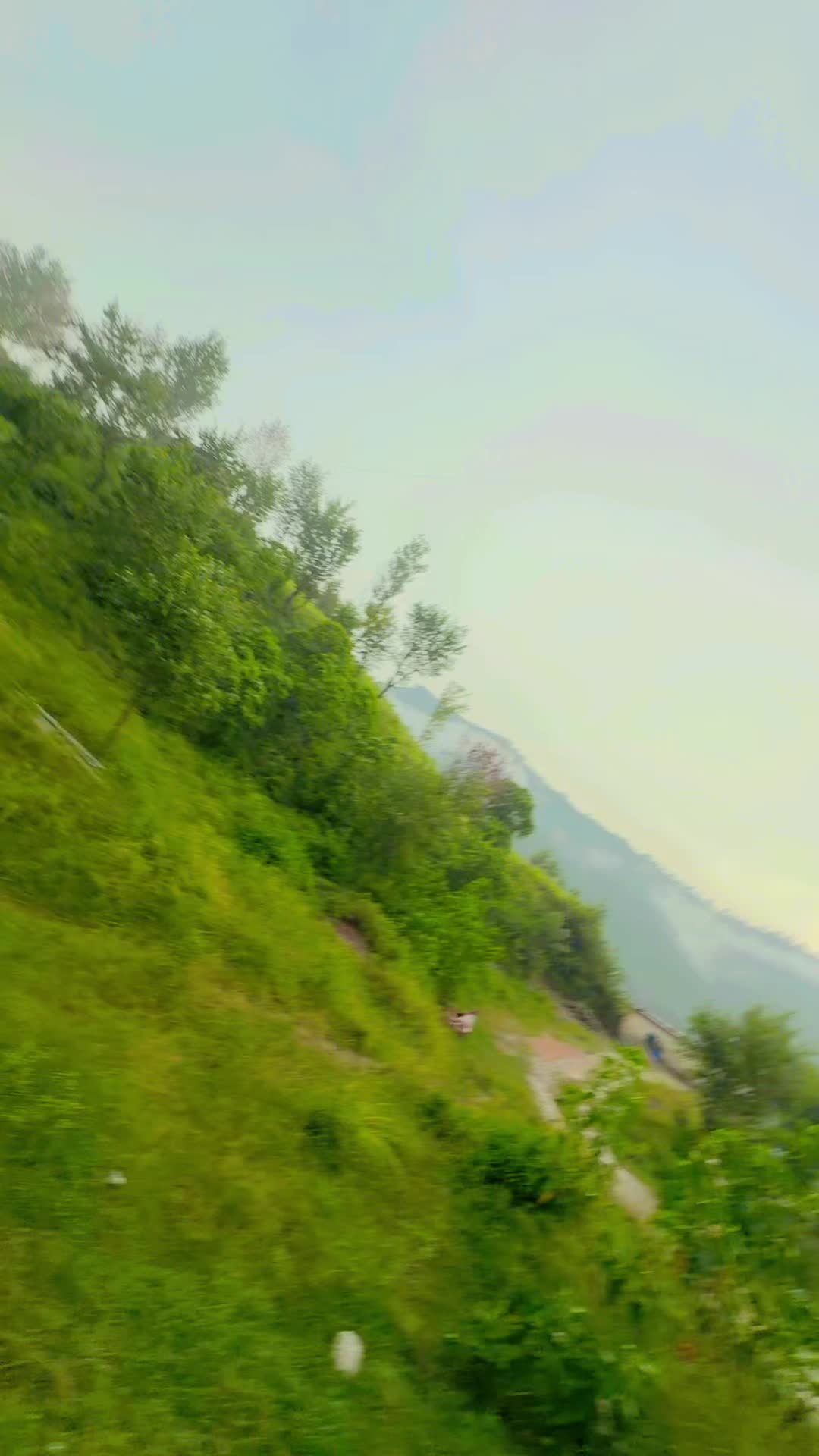 @Tehsin Mughal
