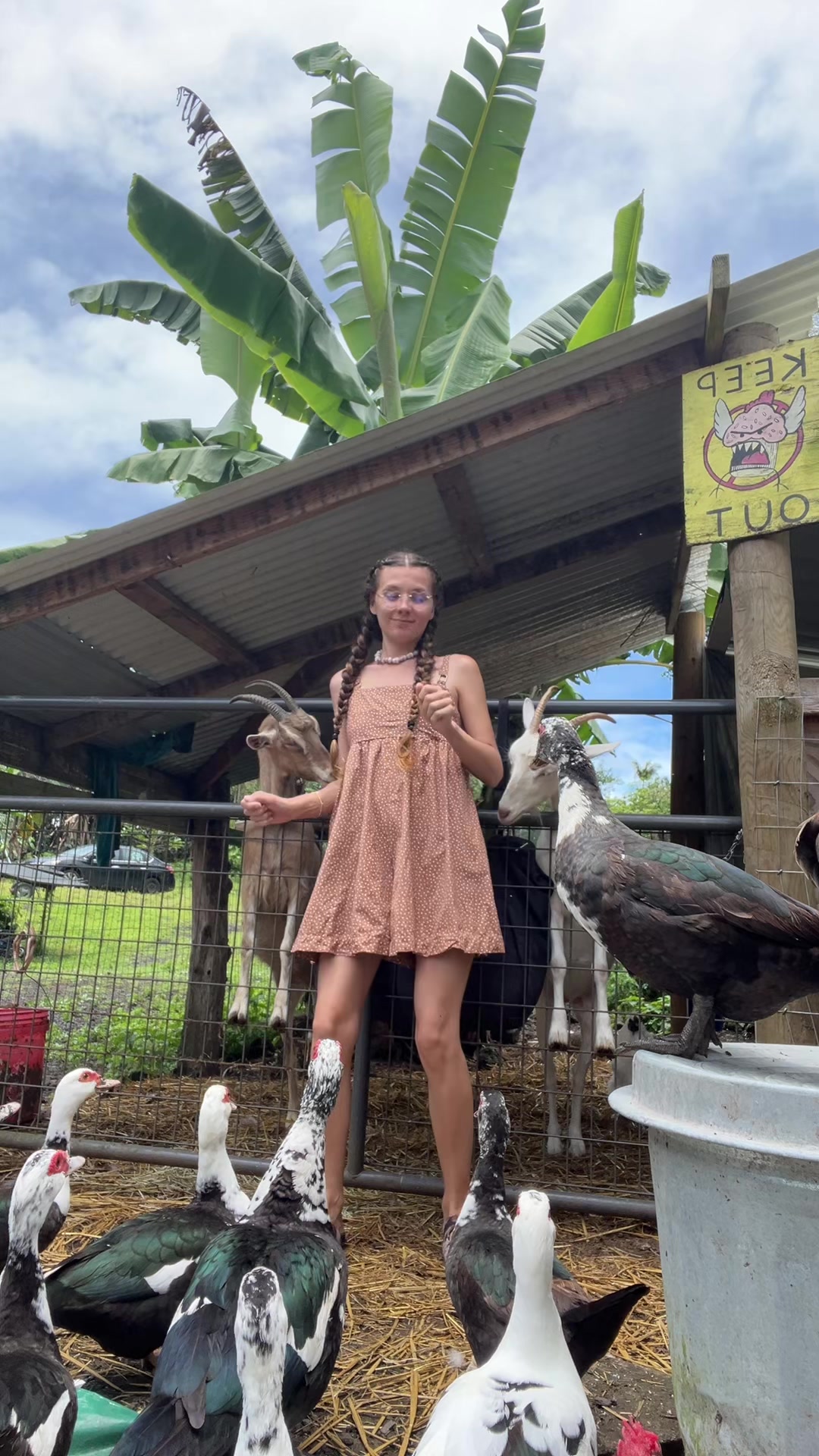 @junglefairyfarm