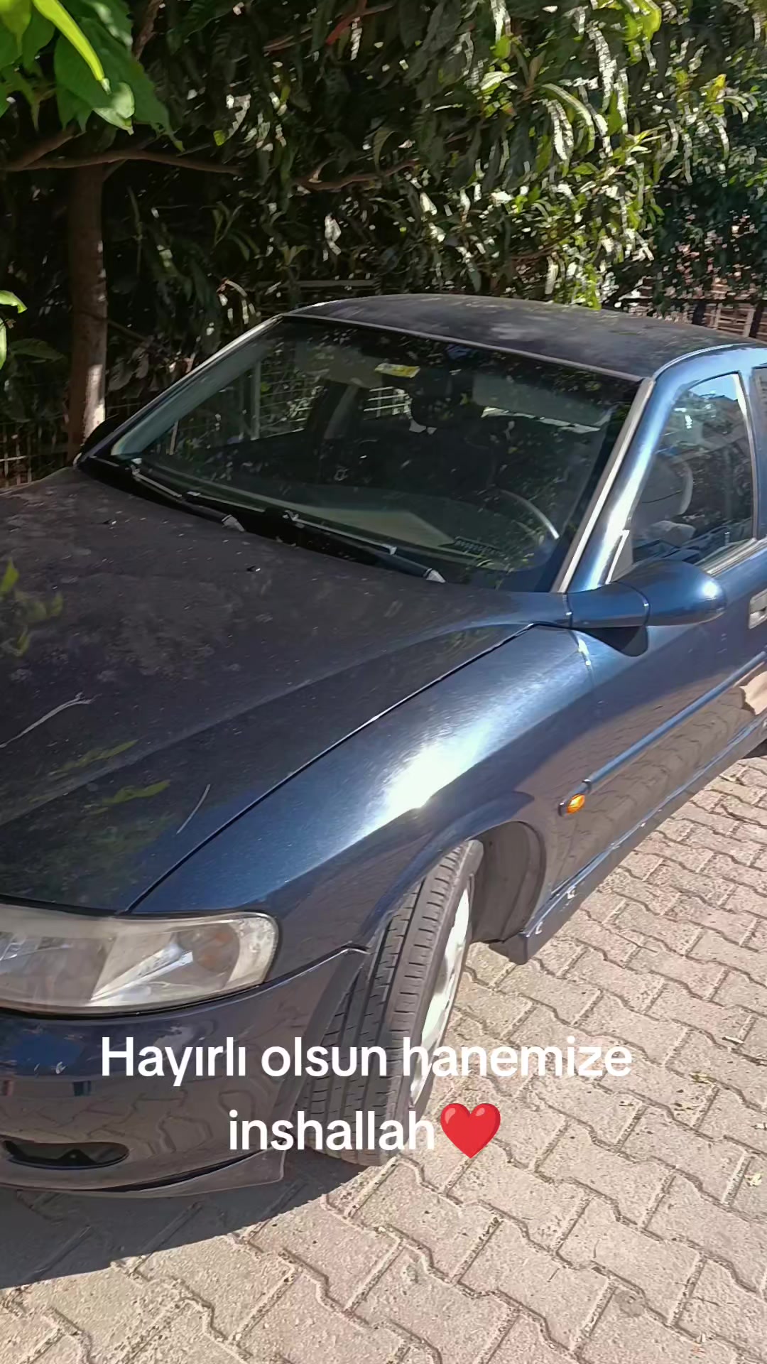 @Tommi⛓️