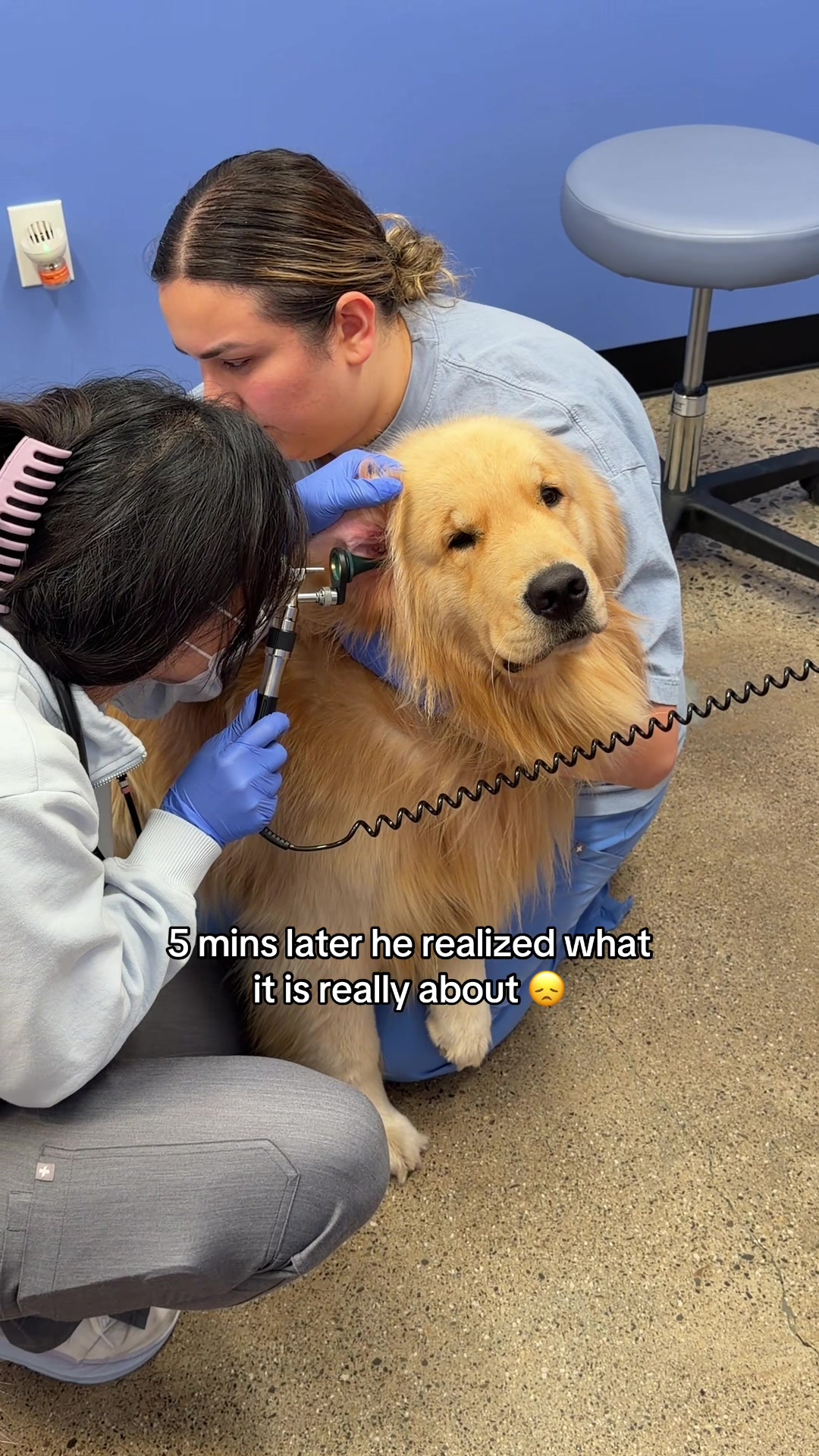 @Maui, Ruby +Hugo