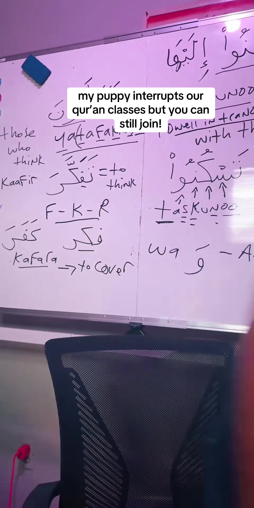 @benquranstudent