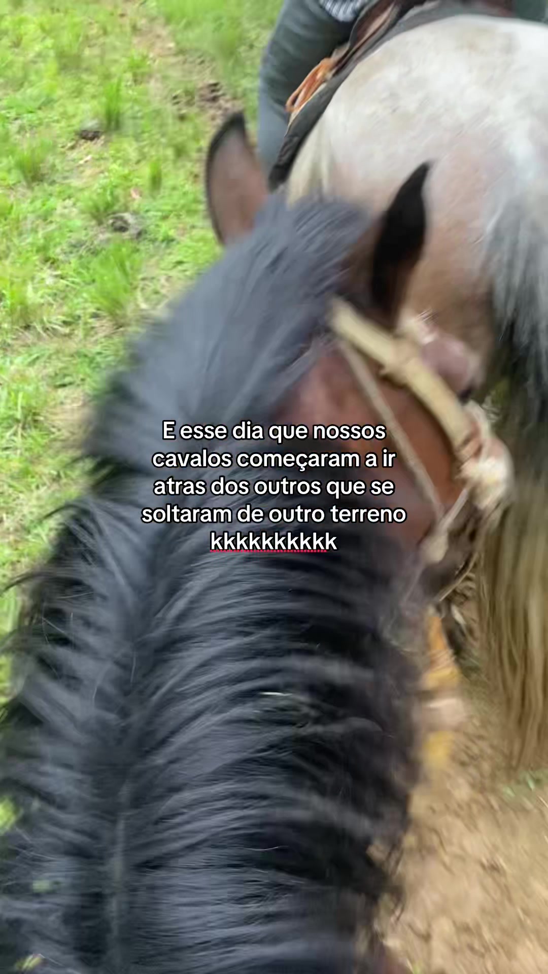 @Sabryna 🐆