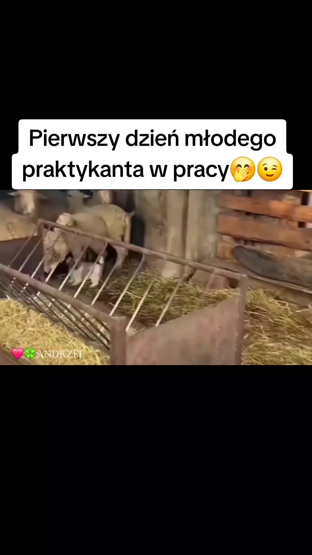 @❤️🍀ANDRZEJ