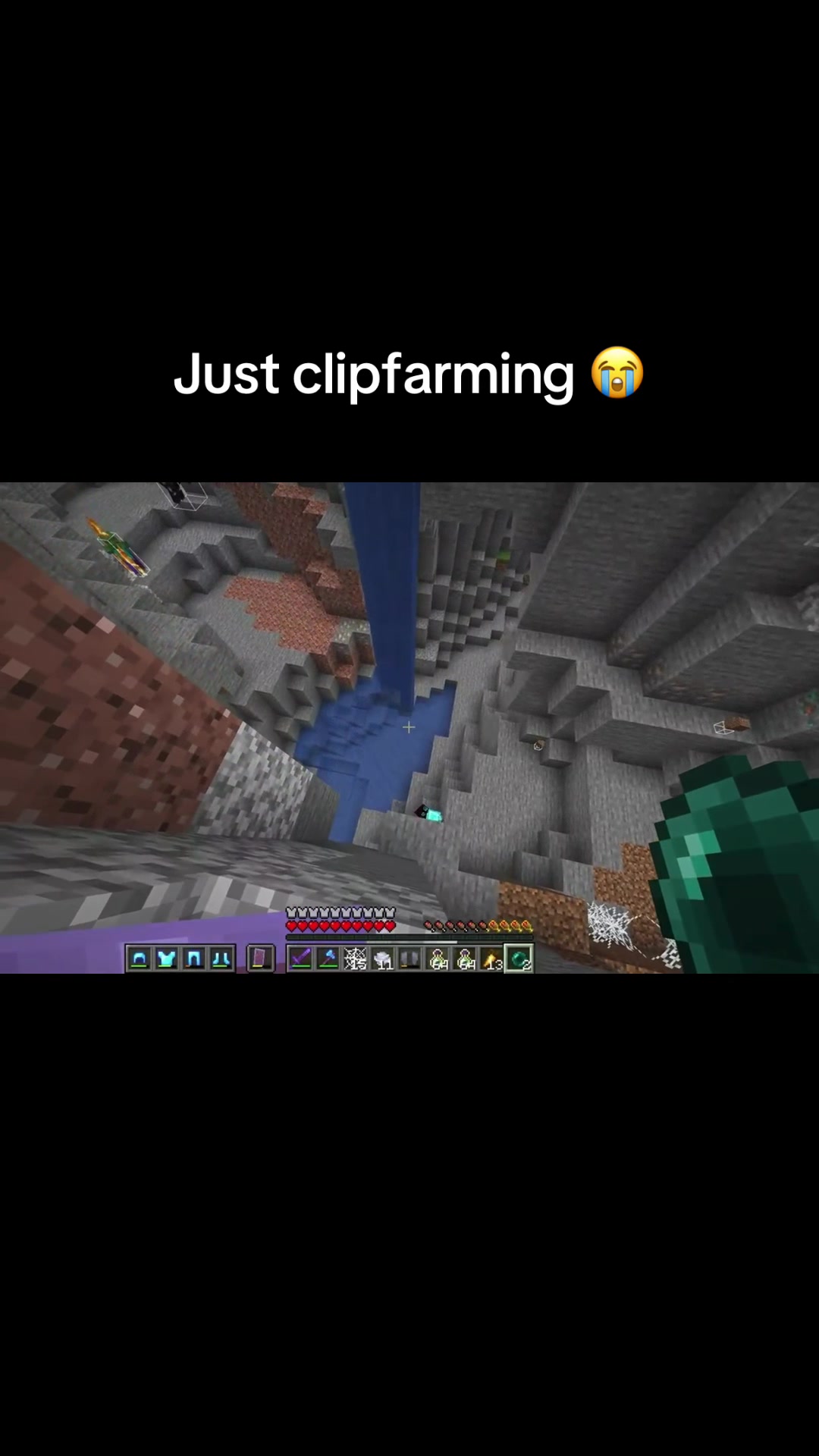 @geckobluez